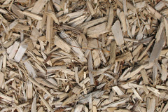 biomass boilers Havant